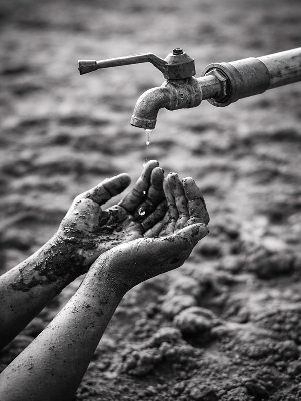 Odoo-Bild- und -Textbaustein